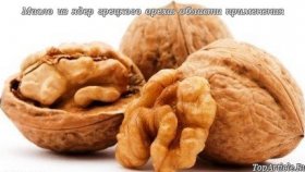 Масло из ядер грецкого ореха: области применения